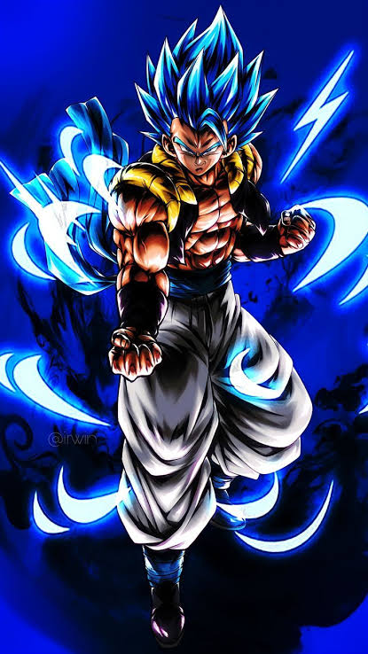 GOGETA -30ml-
