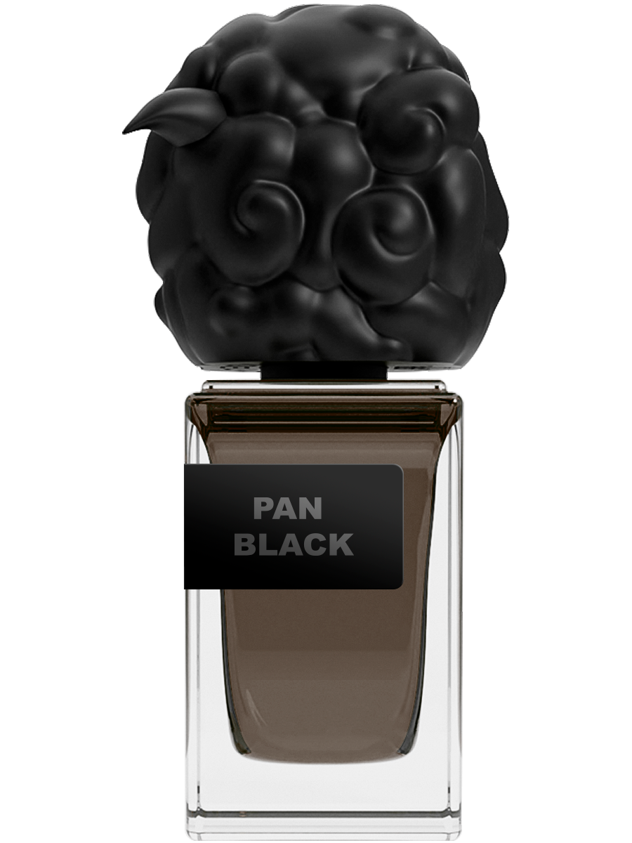 PAN BLACK -30ml-