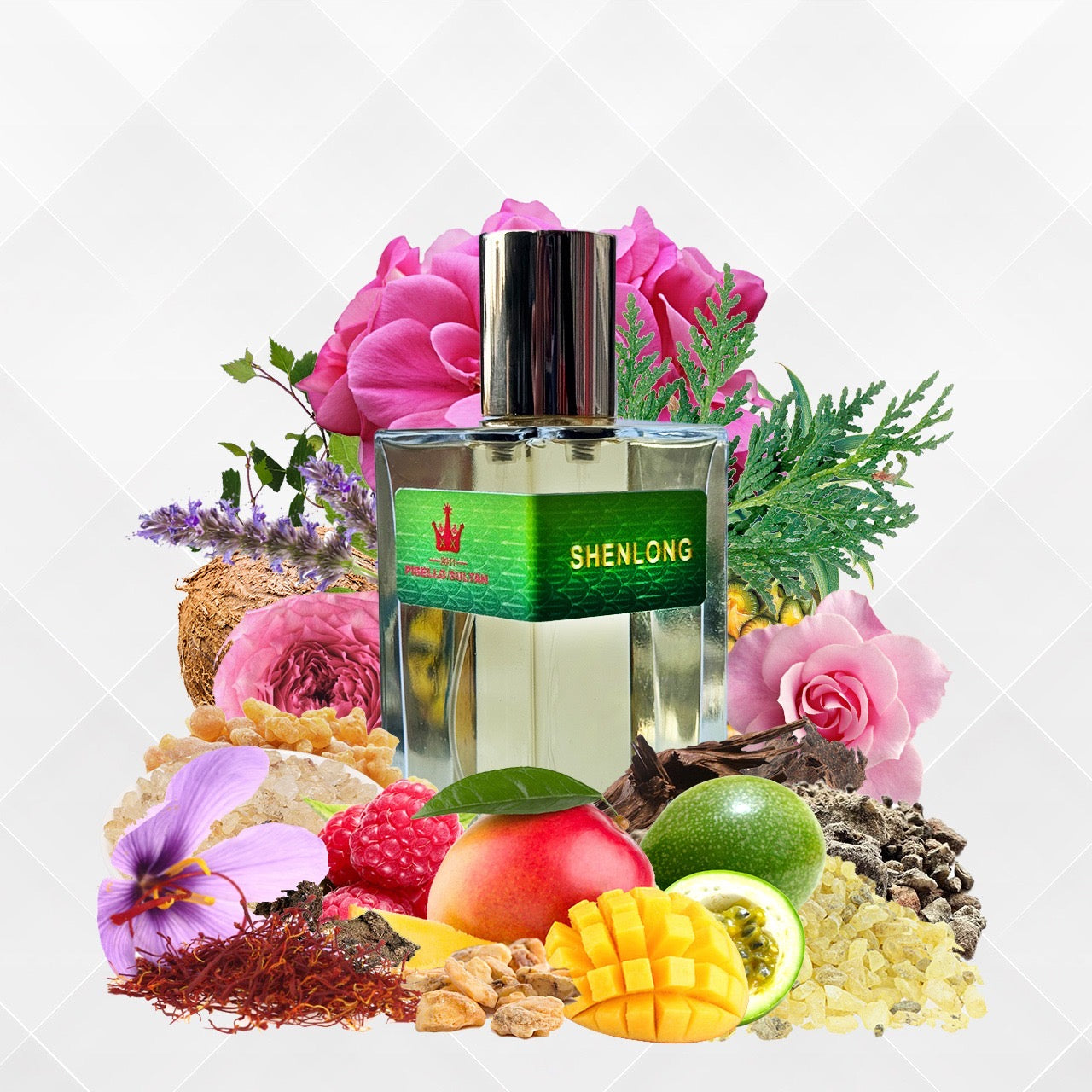 SHENLONG -100ml-