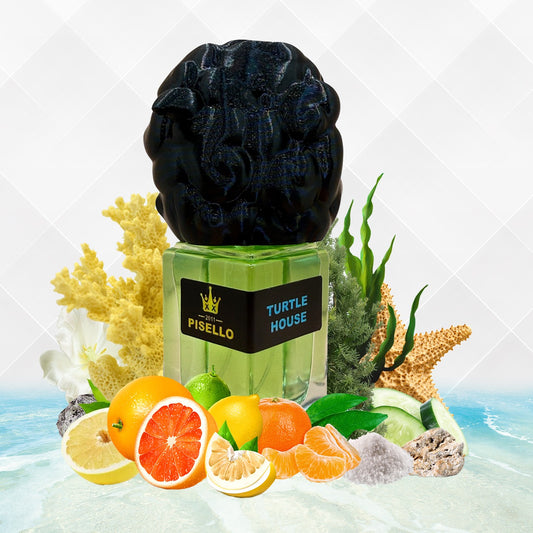 TURTLE HOUSE -50ml-